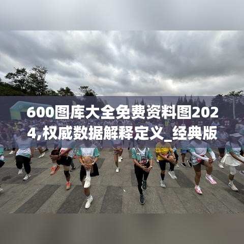 600图库大全免费资料图2024,权威数据解释定义_经典版6.981