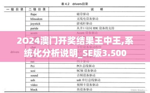 2O24澳门开奖结果王中王,系统化分析说明_SE版3.500