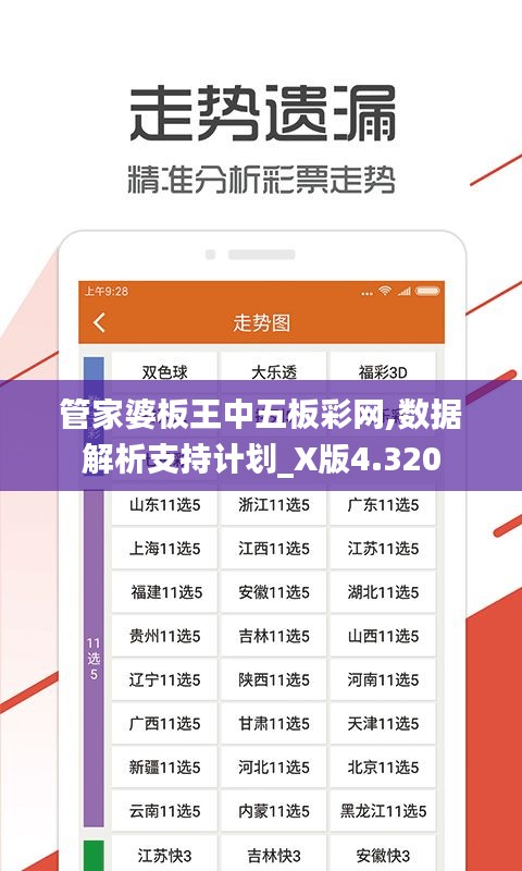 管家婆板王中五板彩网,数据解析支持计划_X版4.320