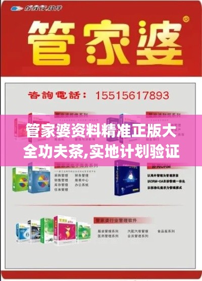 管家婆资料精准正版大全功夫茶,实地计划验证数据_S110.942