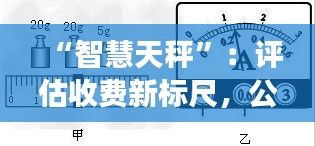“智慧天秤”：评估收费新标尺，公平透明新纪元