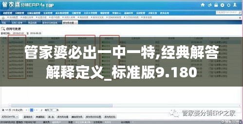 管家婆必出一中一特,经典解答解释定义_标准版9.180