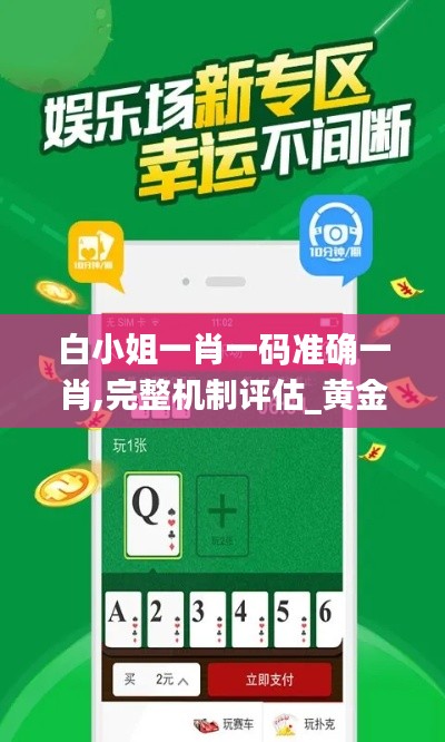 白小姐一肖一码准确一肖,完整机制评估_黄金版17.101