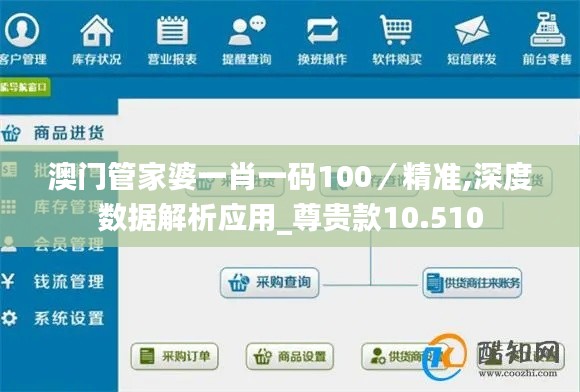 澳门管家婆一肖一码100／精准,深度数据解析应用_尊贵款10.510