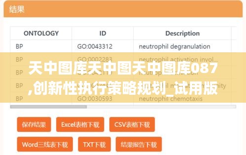 天中图库天中图天中图库087,创新性执行策略规划_试用版5.515