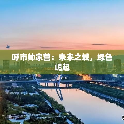 百不得一 第4页