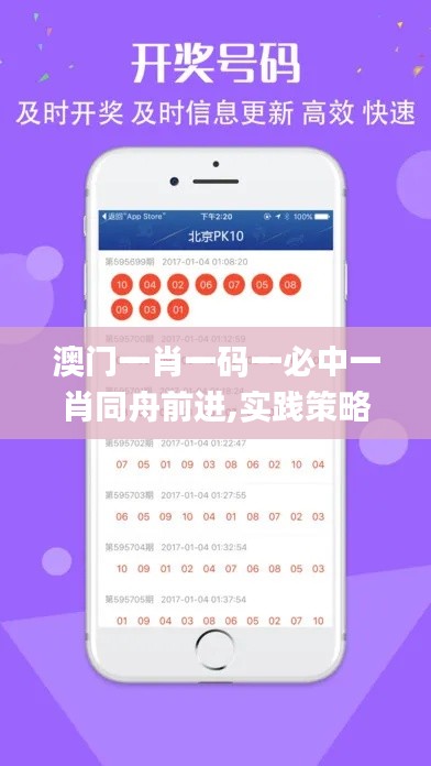 澳门一肖一码一必中一肖同舟前进,实践策略设计_Q60.240
