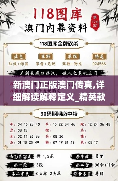 新澳门正版澳门传真,详细解读解释定义_精英款69.356