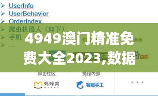 4949澳门精准免费大全2023,数据支持设计_高级款10.335