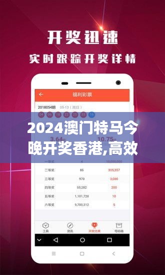 2024澳门特马今晚开奖香港,高效策略设计_精装款7.462