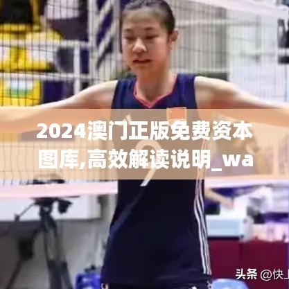 2024澳门正版免费资本图库,高效解读说明_watchOS76.360