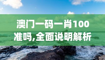 澳门一码一肖100准吗,全面说明解析_动态版44.913