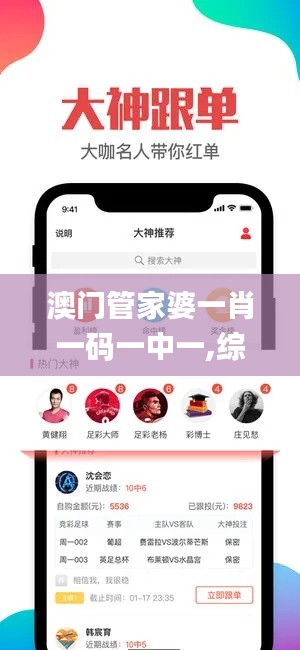 澳门管家婆一肖一码一中一,综合评估解析说明_VR1.819