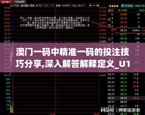 澳门一码中精准一码的投注技巧分享,深入解答解释定义_U10.592