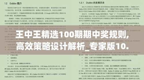 王中王精选100期期中奖规则,高效策略设计解析_专家版10.610