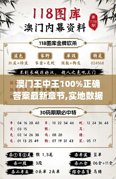 澳门王中王100%正确答案最新章节,实地数据验证策略_薄荷版3.435