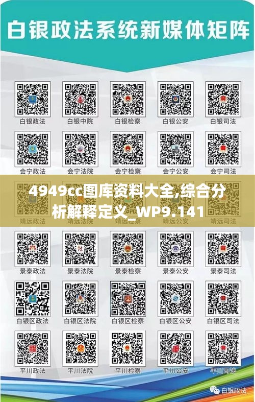 4949cc图库资料大全,综合分析解释定义_WP9.141
