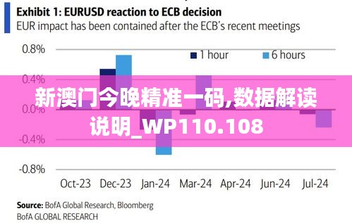 新澳门今晚精准一码,数据解读说明_WP110.108