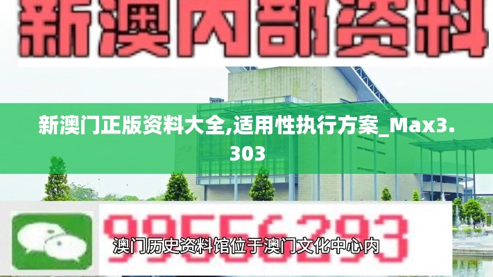 新澳门正版资料大全,适用性执行方案_Max3.303