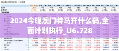 2024今晚澳门特马开什么码,全面计划执行_U6.728
