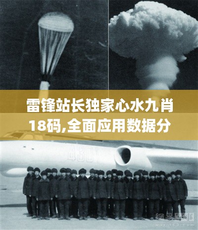 雷锋站长独家心水九肖18码,全面应用数据分析_探索版1.410