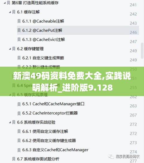 新澳49码资料免费大全,实践说明解析_进阶版9.128
