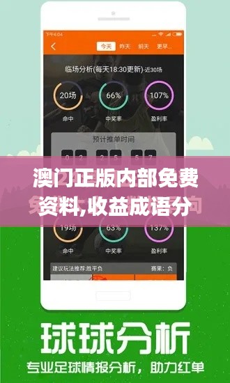澳门正版内部免费资料,收益成语分析定义_U4.254
