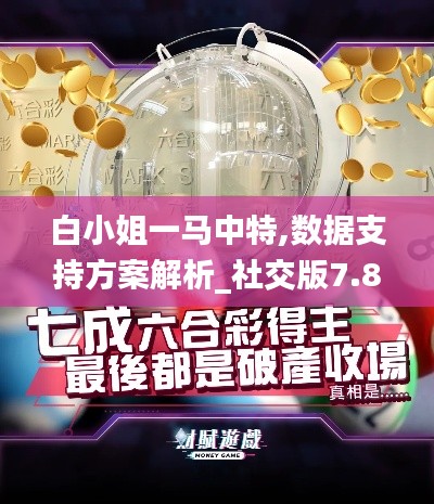 白小姐一马中特,数据支持方案解析_社交版7.877