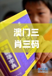 澳门三肖三码精准100%新华字典,深层策略设计解析_Harmony3.398