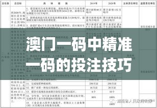 澳门一码中精准一码的投注技巧,社会责任方案执行_mShop4.623