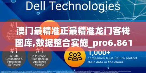 澳门最精准正最精准龙门客栈图库,数据整合实施_pro6.861