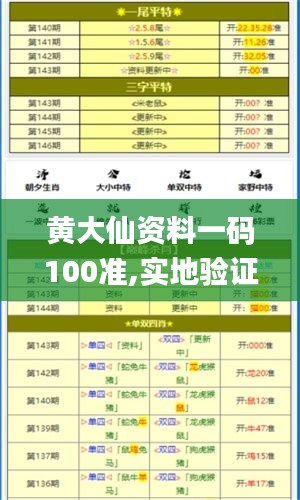 黄大仙资料一码100准,实地验证策略数据_定制版7.108
