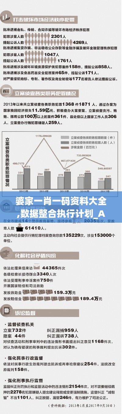 婆家一肖一码资料大全,数据整合执行计划_AP10.363