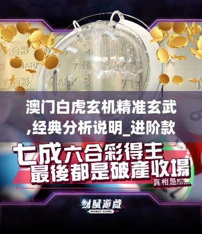 澳门白虎玄机精准玄武,经典分析说明_进阶款6.712