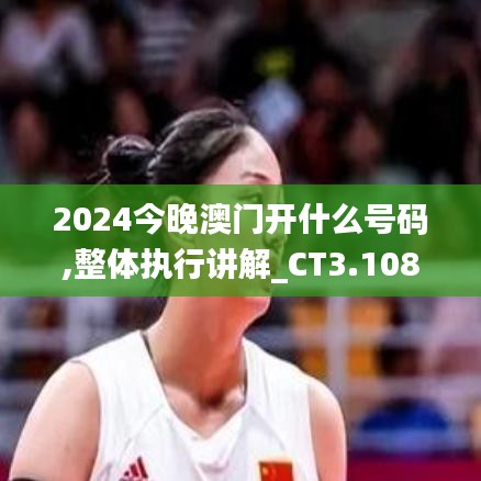 2024今晚澳门开什么号码,整体执行讲解_CT3.108
