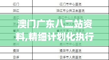 澳门广东八二站资料,精细计划化执行_V24.220