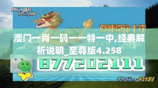 澳门一肖一码一一特一中,经典解析说明_至尊版4.258
