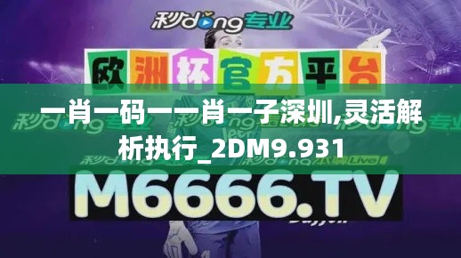 一肖一码一一肖一子深圳,灵活解析执行_2DM9.931