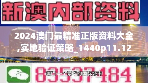 2024澳门最精准正版资料大全,实地验证策略_1440p11.126