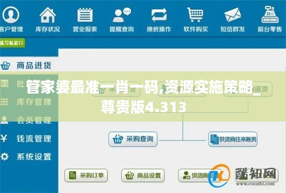 管家婆最准一肖一码,资源实施策略_尊贵版4.313