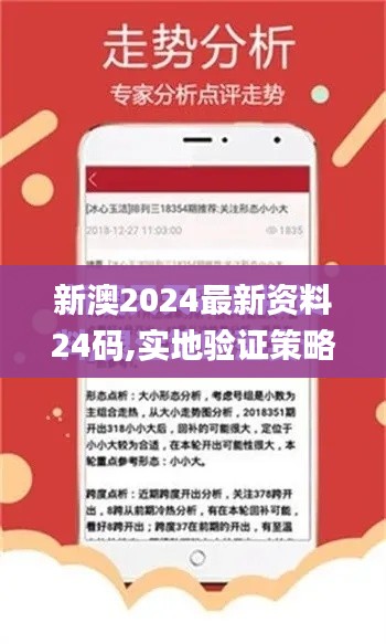 新澳2024最新资料24码,实地验证策略_V5.870