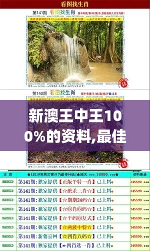 新澳王中王100%的资料,最佳精选解析说明_Hybrid4.603