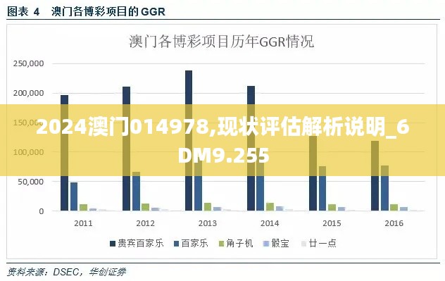 2024澳门014978,现状评估解析说明_6DM9.255