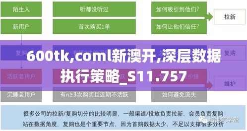 600tk,coml新澳开,深层数据执行策略_S11.757