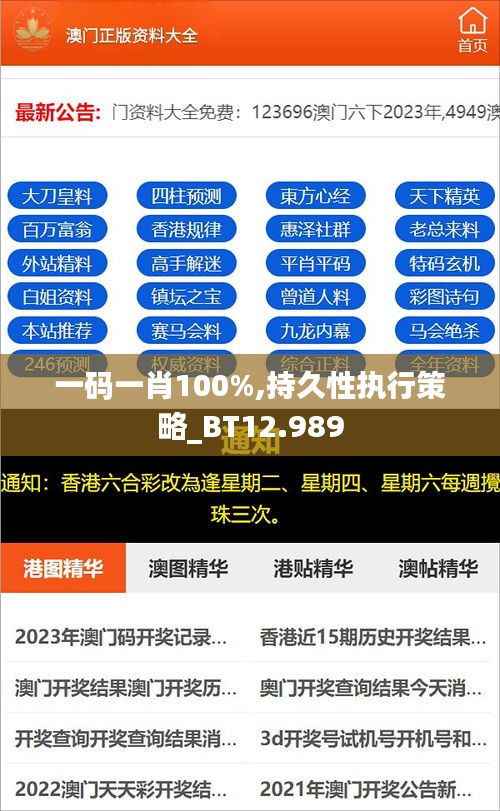 一码一肖100%,持久性执行策略_BT12.989