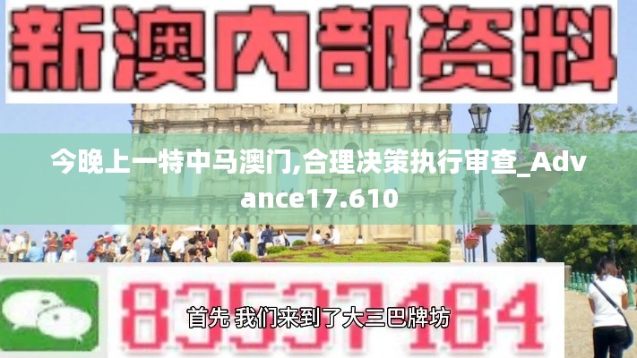 今晚上一特中马澳门,合理决策执行审查_Advance17.610