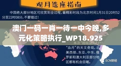 澳门一码一肖一待一中今晚,多元化策略执行_WP18.925