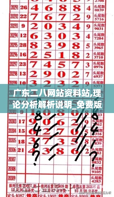 广东二八网站资料站,理论分析解析说明_免费版9.228