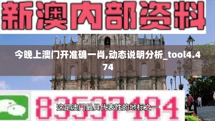 今晚上澳门开准确一肖,动态说明分析_tool4.474