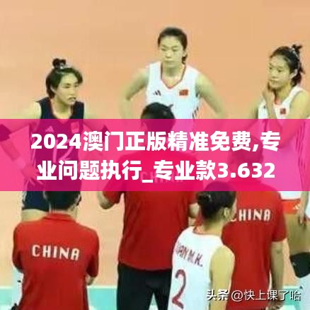2024澳门正版精准免费,专业问题执行_专业款3.632